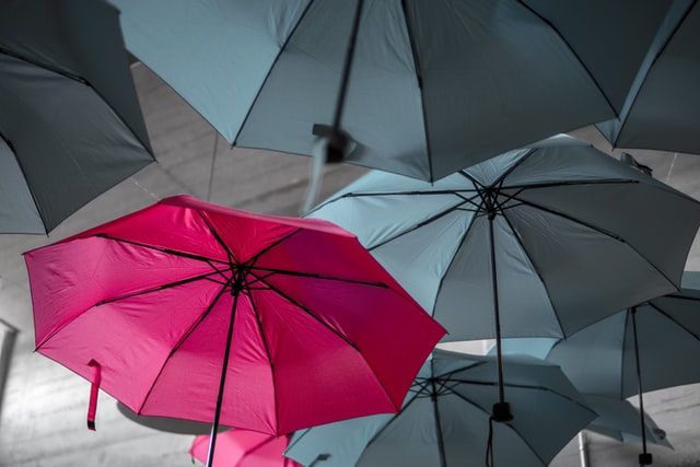 pink umbrella standing out